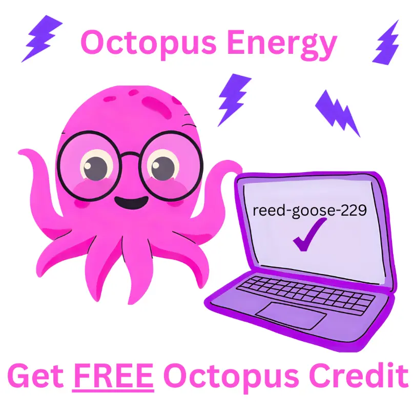 Switching to Octopus Energy