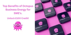 benefits of octopus business energy