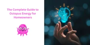 octopus energy guide