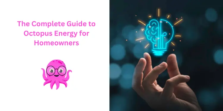 octopus energy guide